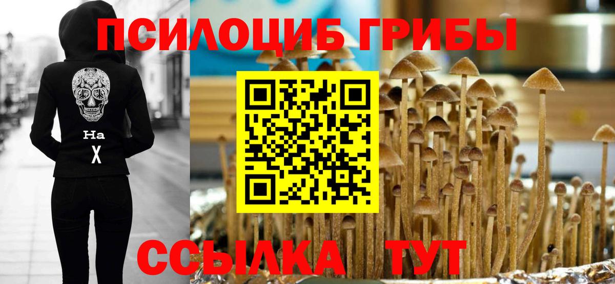 Псилоцибиновые грибы Magic Shrooms  Вход с VPN  Реутов  Псилоцибиновые грибы Psilocybine cubensis 
